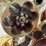 smith-&-wesson-revolver-image-8