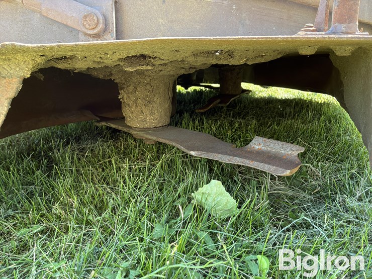 grasshopper-725-image-18