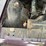 #1379-•-1967-pontiac-bonneville-convertible-car-image-49