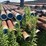 #26-•-large-lot-of-pipe-|-more-info-coming-soon-image-398