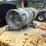 hyster-h65xm-image-25