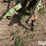 john-deere-9-image-12