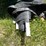 #7159-•-assorted-lawn-and-garden-items-image-16