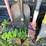 #7147-•-handled-tools-image-9