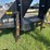 #3630-•-2021-big-tex-30ft-gooseneck-trailer-image-4