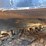 komatsu-pc200-lc-6le-image-106