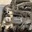 #6065-•-2014-4000lb-unicarriers-lp-forklift-image-29