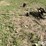 john-deere-9-image-8