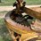 galion-t600-image-62