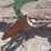 john-deere-2500-image-16