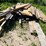 #7125-•-assorted-scrap-lumber-and-plywood-image-7