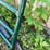 #7146-•-metal-livestock-gate-image-4
