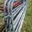 3-16'-6-bar-gates-image-2