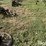 john-deere-9-image-4
