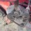 #5515-•-case-baler-image-25