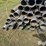 8"-aluminum-gated-irrigation-pipe-image-15