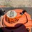 #7187-•-stihl-hs-46-c-hedge-trimmer-image-6