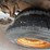 #1797-•-1996-freightliner-m2-lp-truck-image-71
