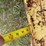 7'-3-pt-blade-image-17