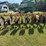 alloway-3030-image-6