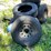 #7122-•-lot-of-used-tires-image-5