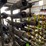 (15x$)-gr6112-basket-grapples-image-2