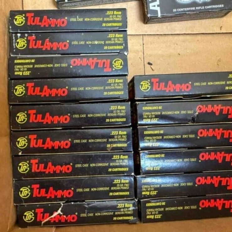 .223 ammo