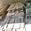 #7169-•-assortment-of-rough-saw-lumber-image-1