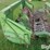 john-deere-212-image-10