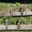 #7157-•-(2)-truck-side-running-boards-image-9