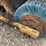 rosco-bh7-image-24