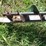 grain-auger-on-wheels-34'x5"-540-pto-image-5