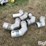 8"-aluminum-pipe-fittings-image-7