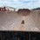 bobko-end-dump-image-6