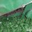 john-deere-843-image-14