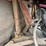 rosco-bh7-image-28