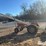 1958-allis-chalmers-d17-image-8