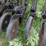 great-plains-30'-grain-drill,-14"-double-disc-image-5