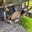#2225-•-adams-fertilizer-trailer-image-25