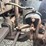 1989-kenworth-t600a-image-7