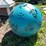 #7128-•-compost-ball-image-1