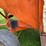 #2226-•-bradford-gravity-box-wagon-image-22