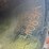 #26-•-large-lot-of-pipe-|-more-info-coming-soon-image-213