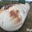 500-gal-propane-tank-image-9