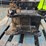 caterpillar-305-image-5