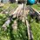 #7129-•-pile-of-used-wooden-posts-image-2