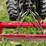 mahindra-1538-image-28