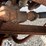 2003-ford-f350-image-44