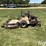 grasshopper-725-image-8