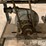 case-ih-3-image-19